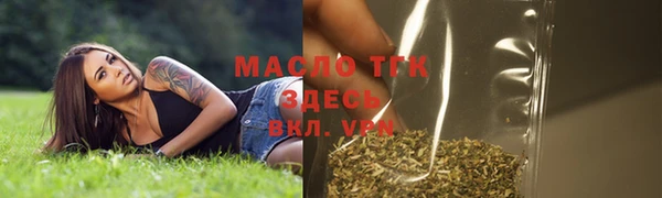 индика Верхний Тагил